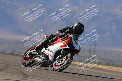 media/Nov-11-2023-SoCal Trackdays (Sat) [[efd63766ff]]/Turn 8 Set 2 (1040am)/